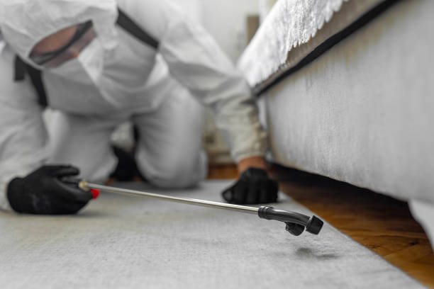 Professional Bed Bug Control technician working in Cedar Creek, TX