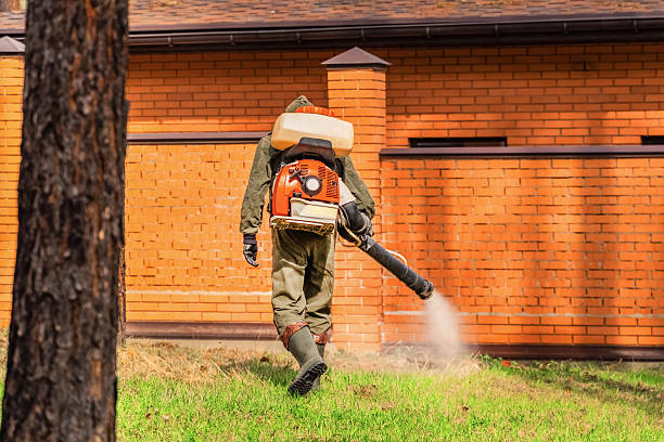 Trusted Cockroach Control service in Cedar Creek, TX - Nex Pest Control